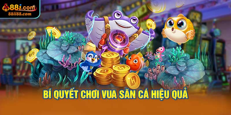 Bí Quyết Chơi Vua Săn Cá Hiệu Quả