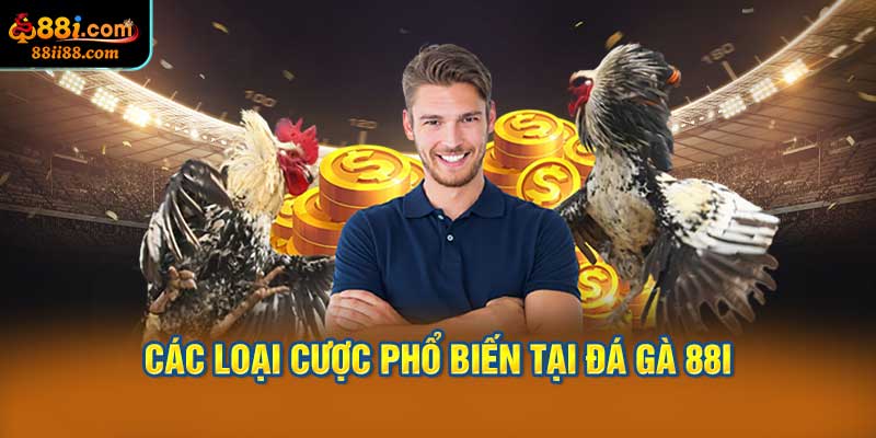 Các Loại Cược Phổ Biến Tại Đá Gà 88i
