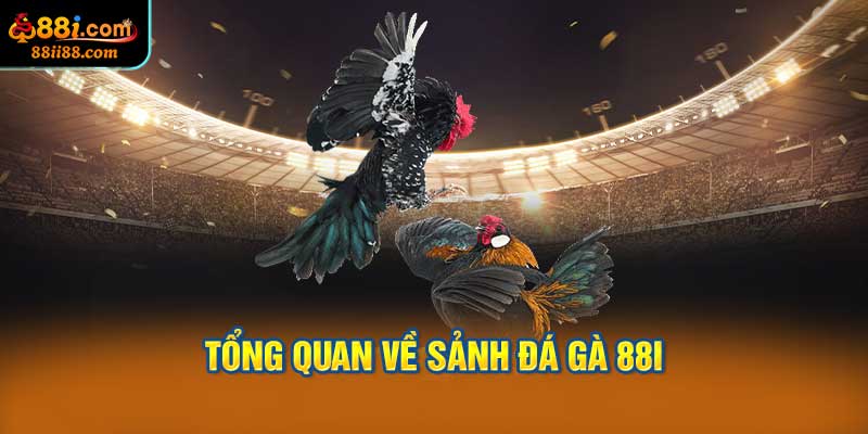 Tổng Quan Về Sảnh Đá Gà 88i